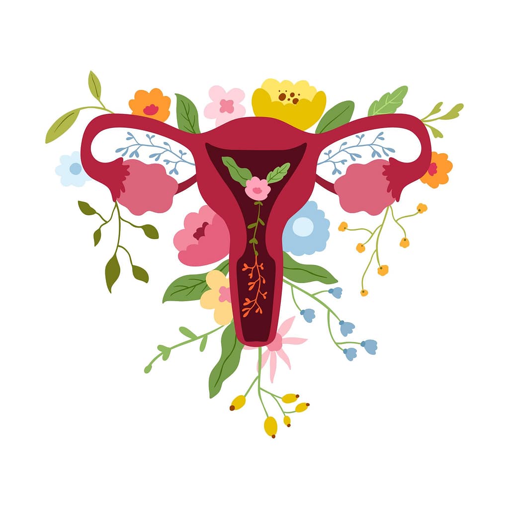 ACCUEIL 1 systeme2 9852075 4280109