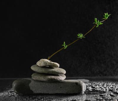 ACCUEIL 4 temoignage eaux calmes mikhail nilov