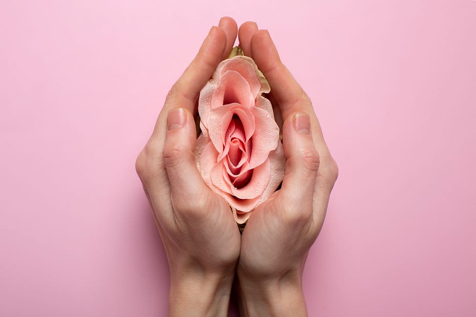 Consultation menopause en Cabinet